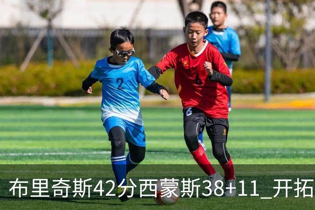 布里奇斯42分西蒙斯38+11 开拓者加时险胜篮网